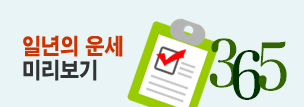 일년 운세상담