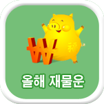 올해 재물운