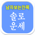 솔로 운세상담